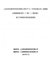 山東祥東新材料科技有限公司年產(chǎn)8.7萬(wàn)噸抗氧化劑、烷基酚及粗酚精制項(xiàng)目(一期)(一期裝置)竣工環(huán)境保護(hù)驗(yàn)收監(jiān)測(cè)報(bào)告